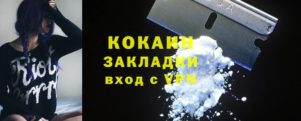 гашик Белокуриха