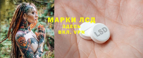 гашик Белокуриха